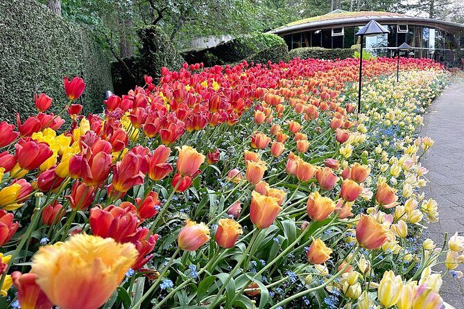 Butchart Gardens and Victoria City Private Tour 1-6 pax - Starting Point and Transportation