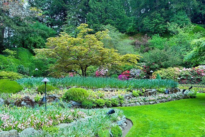 Butchart Gardens and Victoria City Private Tour 1-6 pax - The Value of This Tour