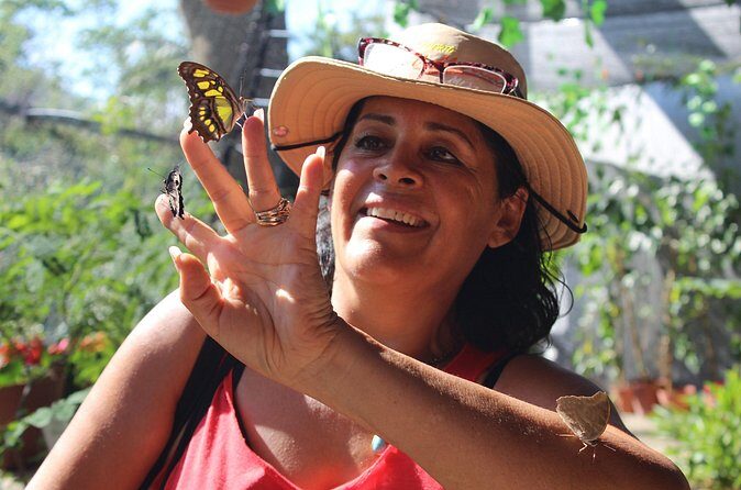 Butterflies, beach Tour with Tequila Tasting (PRIVATE TRANSPORT) - Discovering Puerto Vallarta’s Heart