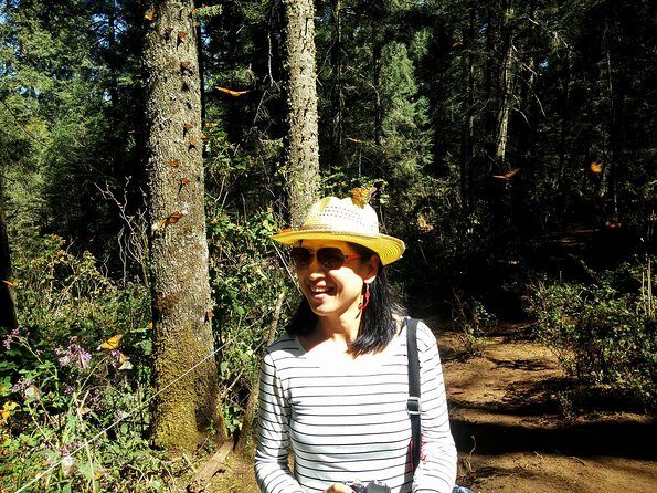 Butterfly Monarch Tour from Mexico City - Weather and Seasonality