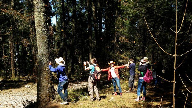 Butterfly Monarch Tour from Mexico City - Practical Tips for Visitors