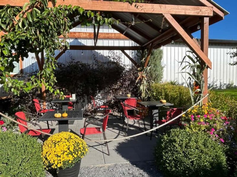 Buzz + Bites! Lunch for Two in East Kelowna - Buzz + Bites! Lunch for Two in East Kelowna: A Practical Look at a Delightful Farm Experience