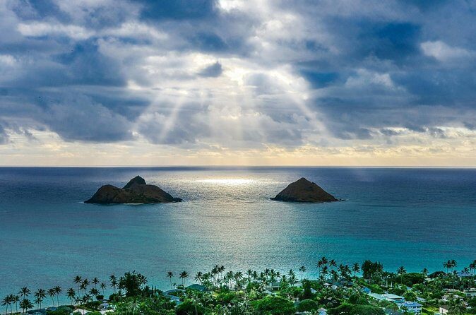Buzz into Adventure Bee Talk and Honey Tasting in Paradise - Practical Details and Logistics