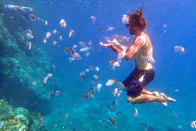 BVI Daytrip on private powerboat with snorkeling - What makes this tour stand out?