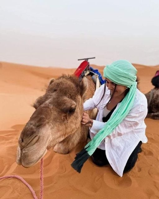BY GROUP 2-Day Tour From Fes to Fes - Merzouga Luxury camps - Who Should Consider This Tour?