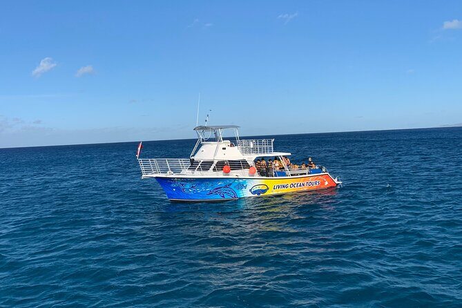 BYOB Sunset Cruise off the Waikiki Coast - Practical Tips for a Great Experience