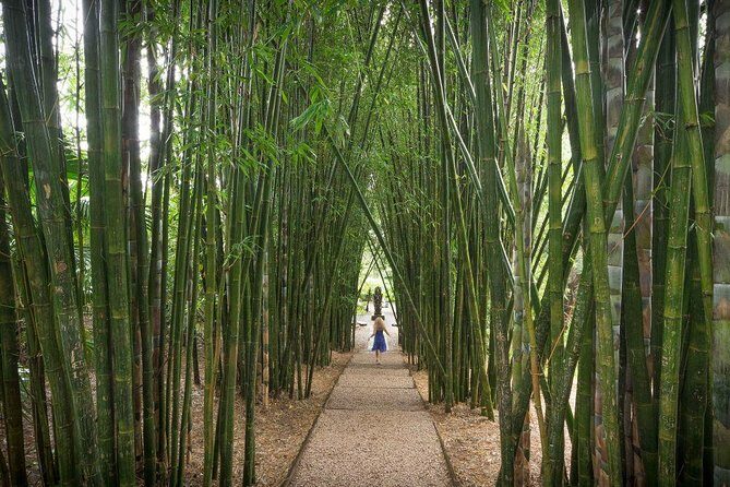 Byron Bay and Beyond Tour Including Cape Bryon Lighthouse Crystal Castle and Bangalow - The Sum Up: A Well-Rounded Day in Byron Bay and Beyond