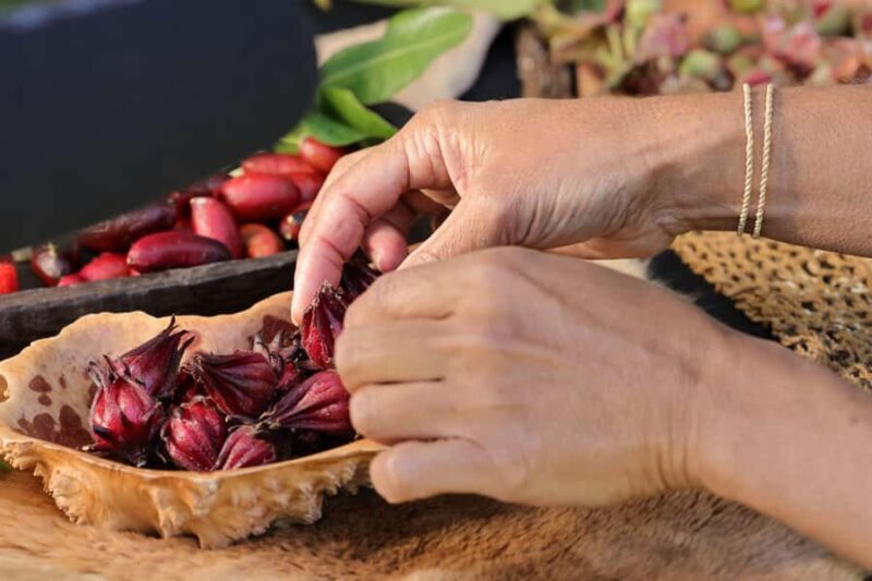 Byron Bay: Bangalow Bush Tucker Tour - Introduction: An Authentic Taste of Indigenous Culture in Byron Bay