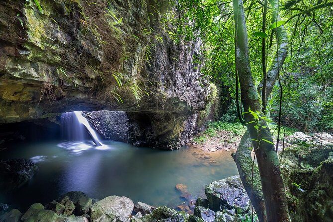 Byron Bay, Bangalow & Gold Coast Day Trip from Brisbane - FAQ