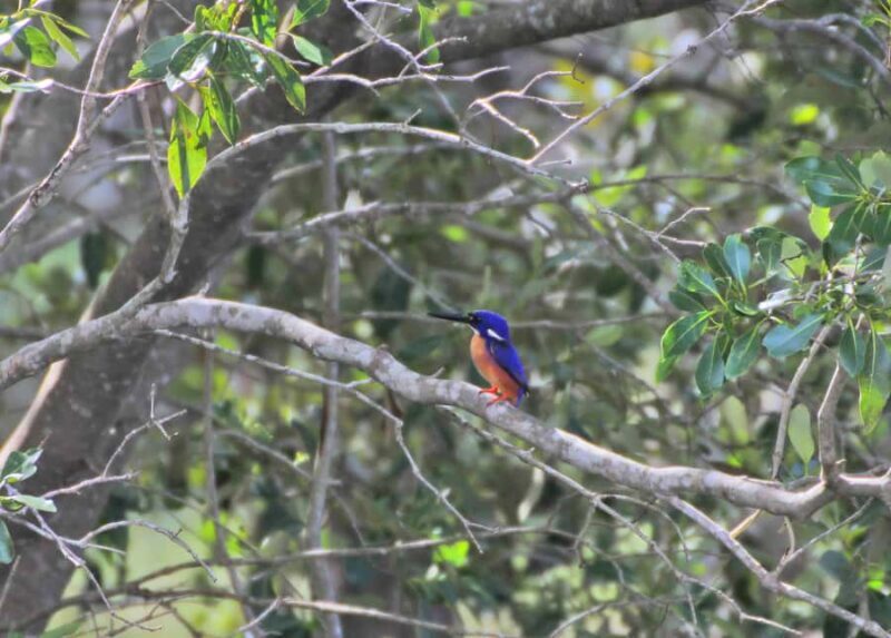 Byron Bay: Brunswick River Eco-Cruise with Brunch - FAQ