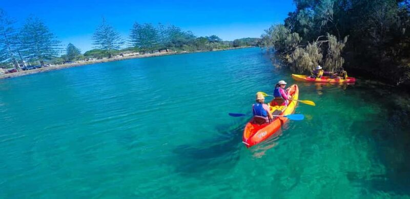 Byron Bay: Brunswick River Scenic Kayak Tour - Key Points