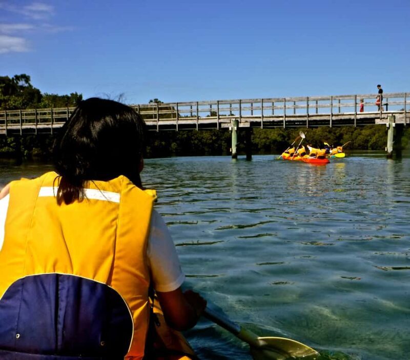 Byron Bay: Brunswick River Scenic Kayak Tour - FAQs