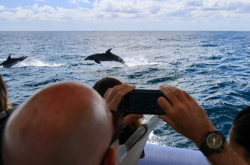 Byron Bay: Cruise with Dolphins Tour - Final Thoughts