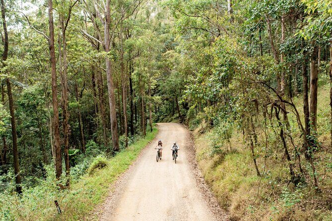 Byron Bay Discovery Day from Gold Coast - Final Thoughts