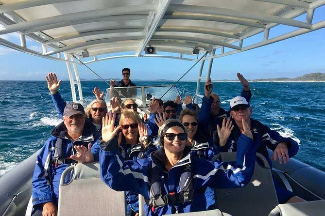 Byron Bay Dolphin Tour - Ocean Safari - The Itinerary in Detail