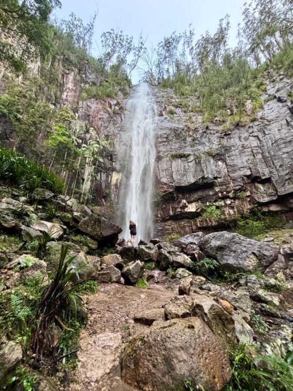 Byron Bay: Glowworms, Waterfalls & Rainforest Experience - Practical Details & What It Means for You