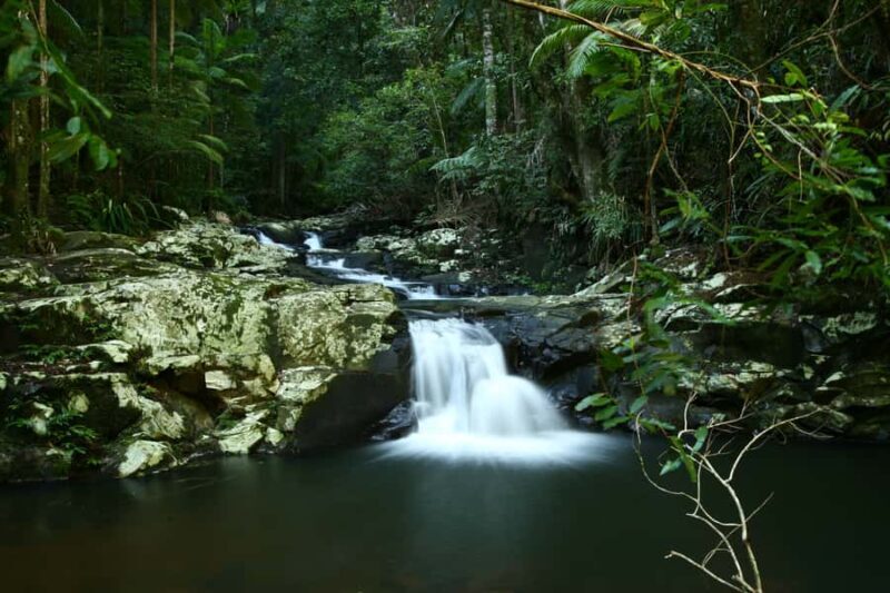 Byron Bay: Glowworms, Waterfalls & Rainforest Experience - Who Should Consider This Experience?
