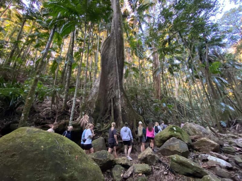 Byron Bay: Glowworms, Waterfalls & Rainforest Experience - FAQ