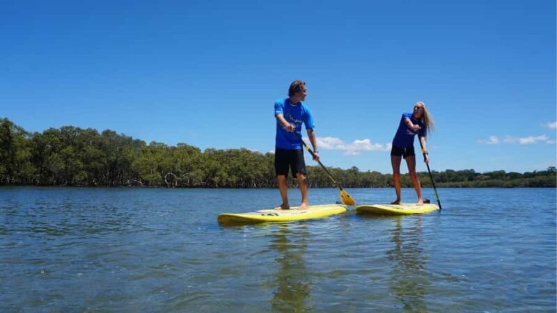 Byron Bay: Group 2.5 Hour Stand-Up Paddle Board Tour - An Honest Look at the Byron Bay SUP Tour
