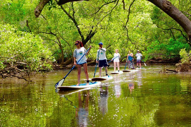 Byron Bay Platypus Walk - FAQs