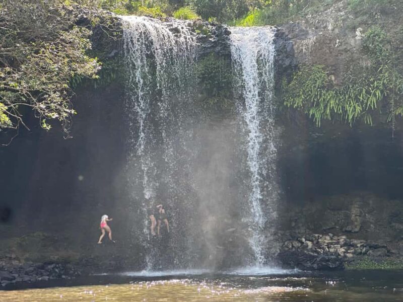 Byron Bay: Rainforest Waterfalls Guided Eco Tour - An In-Depth Look at the Byron Bay Rainforest Waterfalls Eco Tour