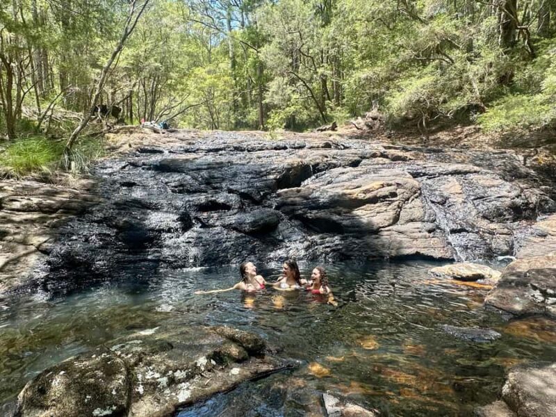 Byron Bay: Rainforest Waterfalls Guided Eco Tour - Who Will Love This Tour?