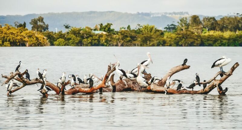 Byron Bay: Scenic Sunset River Cruise - FAQ