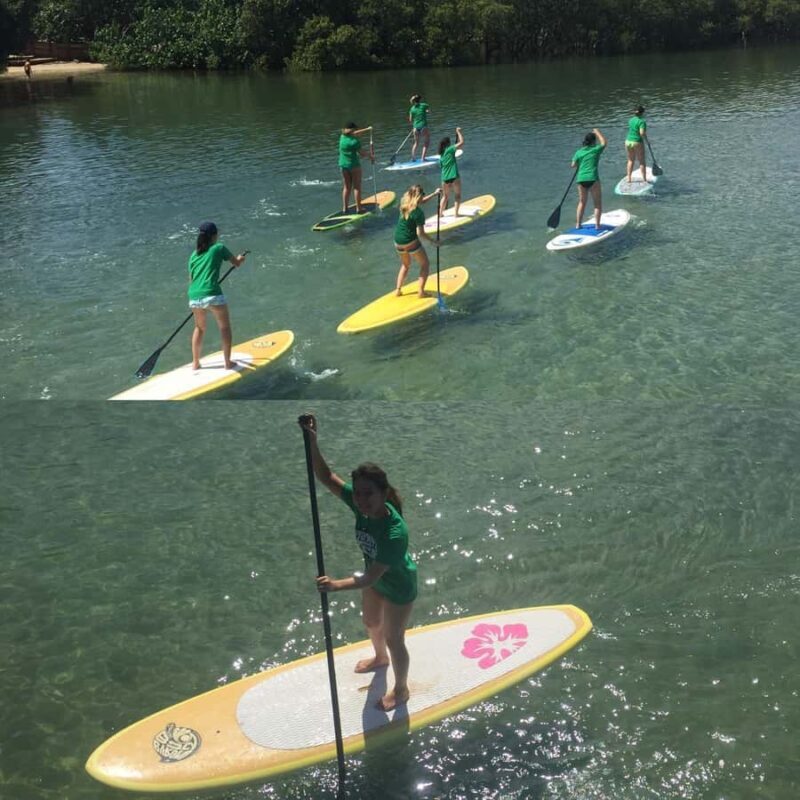 Byron Bay: Stand-Up Paddleboarding Lesson + Transfer - The Sum Up