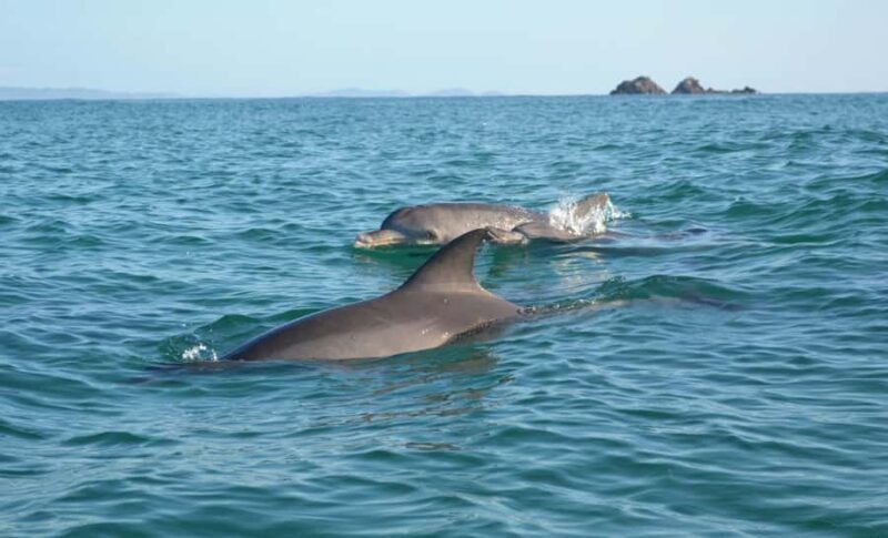 Byron Bay: The Byron Bay Sea Kayak Tour - Detailed Review of the Byron Bay Sea Kayak Tour