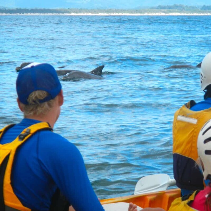 Byron Bay: The Byron Bay Sea Kayak Tour - The Sum Up