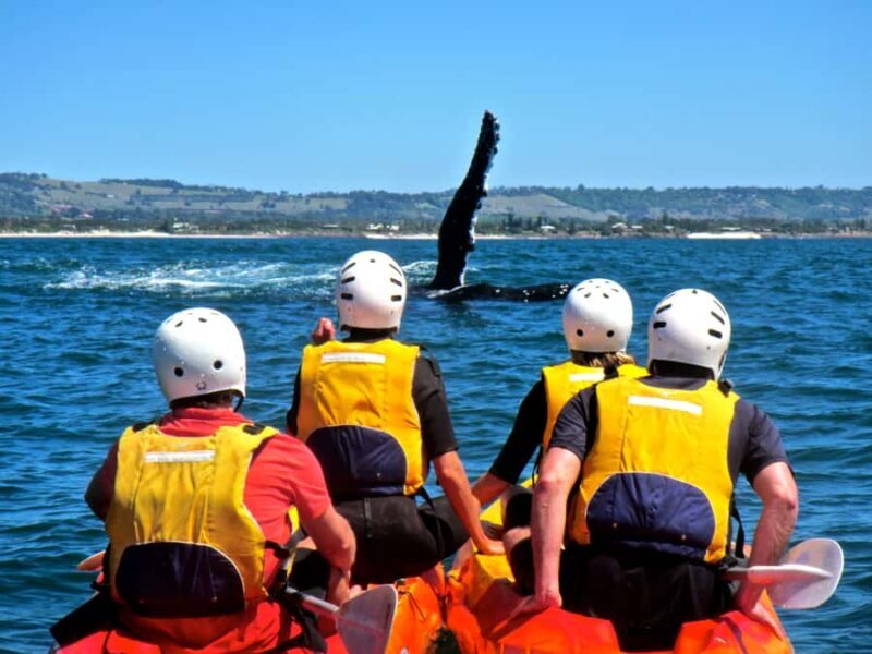 Byron Bay: The Byron Bay Sea Kayak Tour - FAQ
