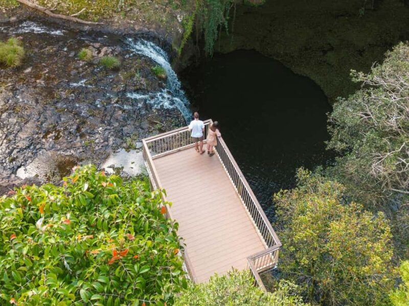 Byron Bay: Wildlife and Waterfall Tour with Breakfast - Key Points