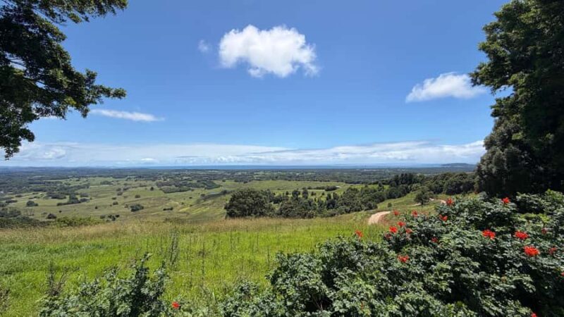 Byron Bay: Wildlife and Waterfall Tour with Breakfast - FAQ