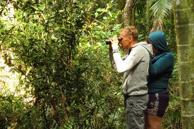 Byron Bay Wildlife Safari - Exploring the Byron Bay Wildlife Safari: A Natural Encounter
