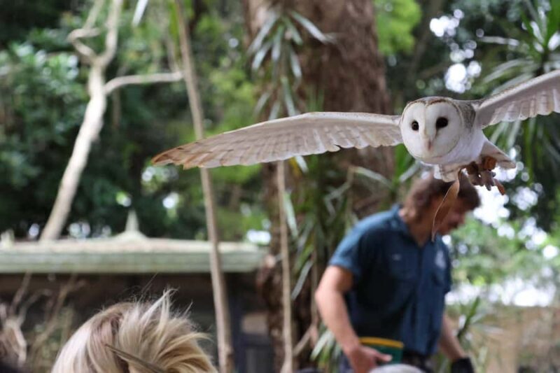 Byron Bay Wildlife Sanctuary Entry Ticket - Introduction: What’s on Offer at Byron Bay Wildlife Sanctuary?
