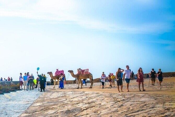 Cable Car Experience and Agadir City Tour. - The Sum Up
