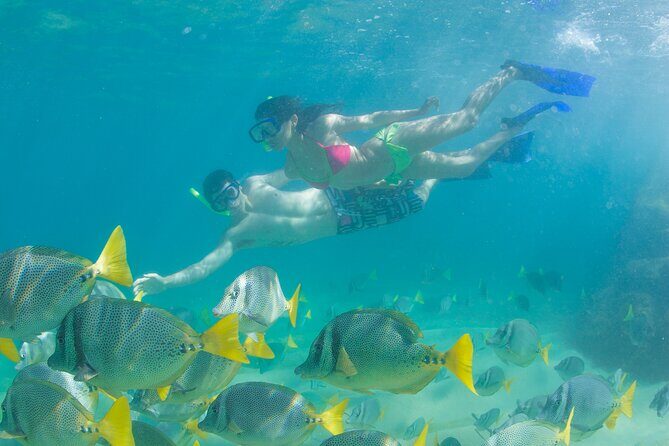 Cabo Arch Glass Bottom Boat: Hotel PICKUP, Arch & Lovers Beach - Practical Tips for Future Tourists