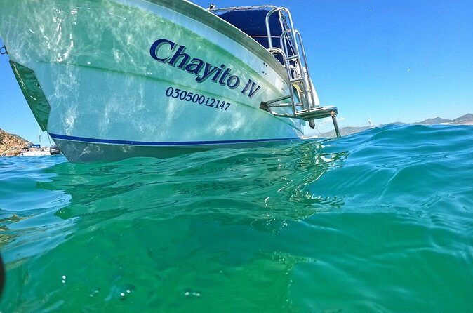 Cabo Arch Glass Bottom Boat: Hotel PICKUP, Arch & Lovers Beach - The Bottom Line