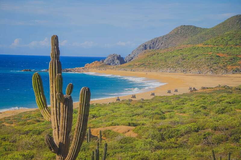Cabo: Beach & Desert Single ATV Tour with Tequila Tasting - Pricing and Value