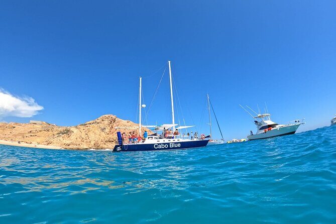 Cabo Blue Snorkeling Cruise, Open Bar and Lunch in Cabo San Lucas - Introduction: Why This Tour Might Be Just Right for You