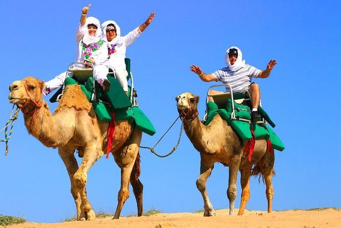 Cabo Camel and Safari Ride - Key Points