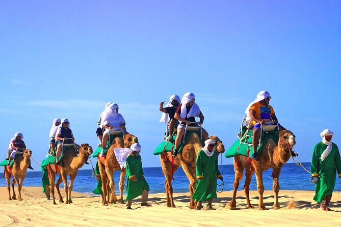 Cabo Camel and Safari Ride - Introduction: Why This Tour Stands Out
