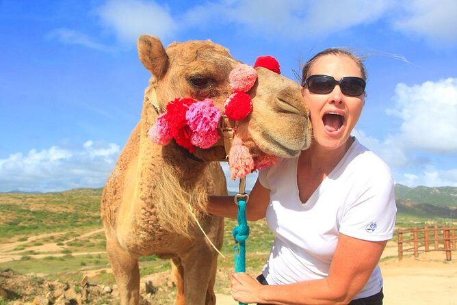 Cabo Camel and Safari Ride - Practical Tips for Travelers