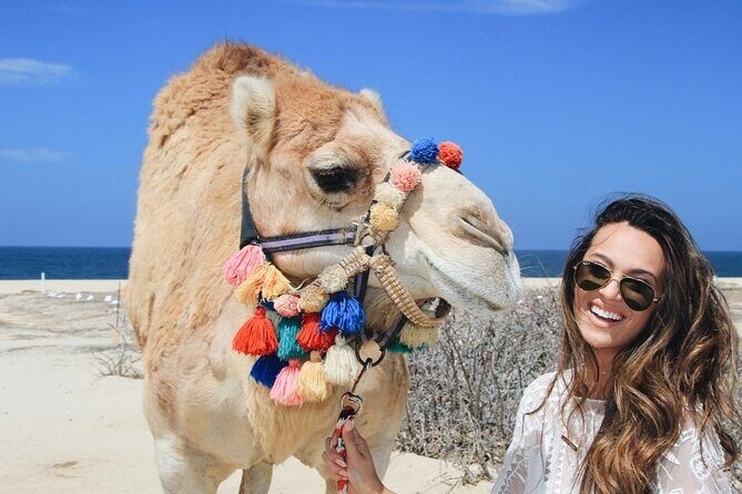 Cabo Camel Ride: Beach Safari, Tequila Tasting & Buffet - Cabo Camel Ride: Beach Safari, Tequila Tasting & Buffet — A Practical, Authentic Adventure