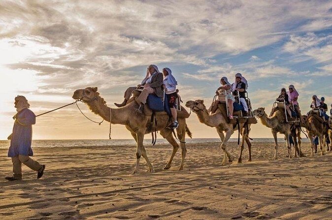 Cabo Camel Ride: Beach Safari, Tequila Tasting & Buffet - What Reviewers Say (Based on Available Feedback)