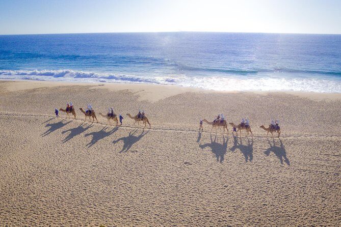 Cabo Camel Ride, Mexican Buffet and Tequila Tasting - An In-Depth Look at the Tour Experience
