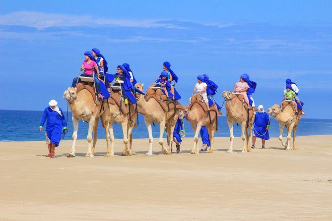 Cabo Camel Ride, Mexican Buffet and Tequila Tasting - Final Impressions