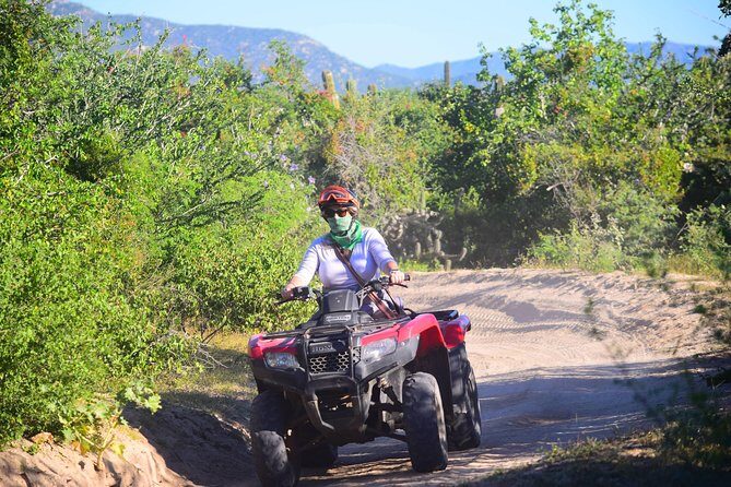 Cabo Candelaria Village Adventure + Tequila Tasting - Final Thoughts: Who Should Consider This Tour?