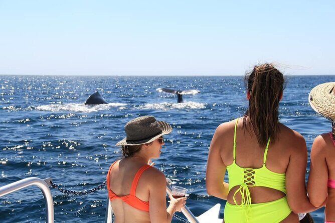 Cabo Catamaran Snorkeling Tour & Coastal Views - Who Should Consider This Tour?