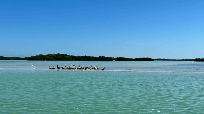 Cabo Catoche Snorkel And Fishing - Key Points